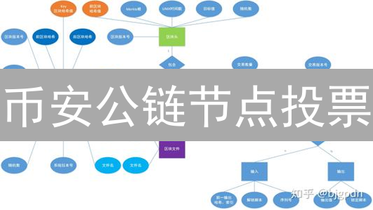 币安公链节点投票：探索去中心化治理，对比特币的启示