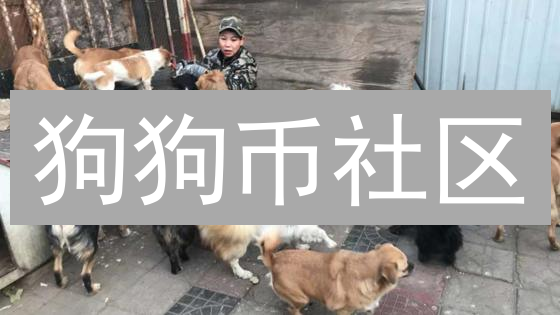 狗狗币社区：慈善、募捐与病毒式推广的多元活动