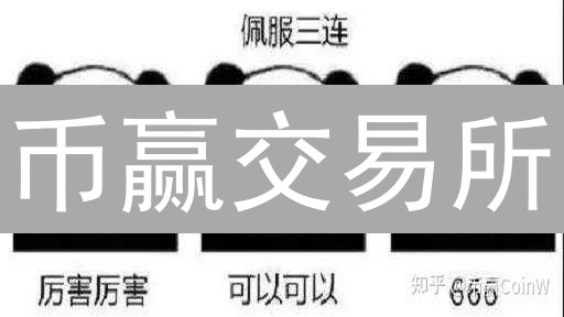 币赢交易所：主流加密货币交易平台，比特币以太坊等