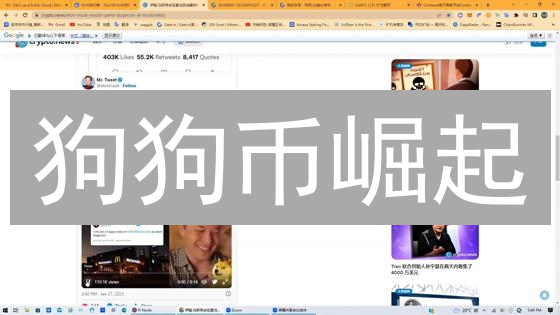 狗狗币崛起：玩笑币如何颠覆传统金融？未来潜力无限！