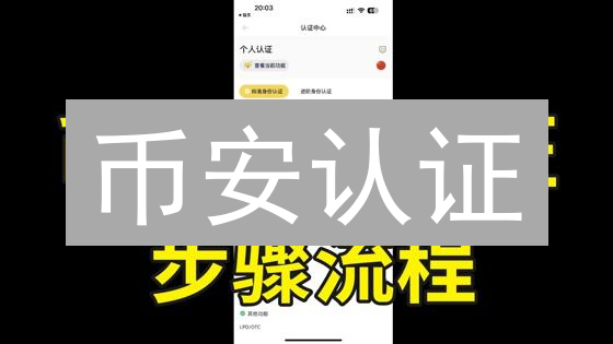 币安认证：解锁交易权限，避免账户冻结？新手指南！