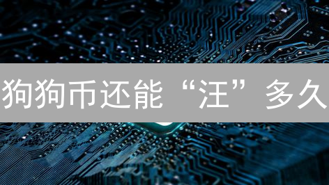 狗狗币还能“汪”多久？扩展性挑战与未来之路！