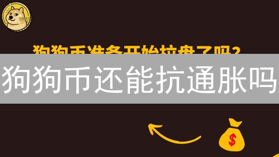 狗狗币还能抗通胀吗？揭秘决定成败的五大因素！
