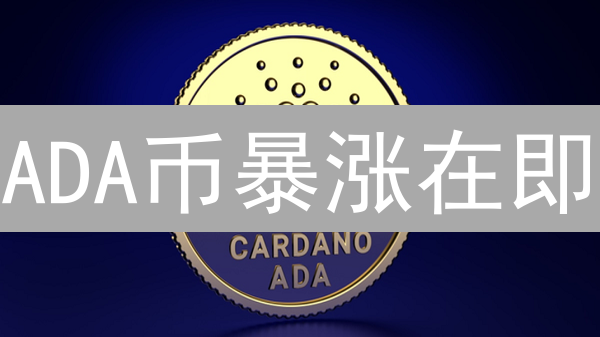 ADA币暴涨在即？新手必看Cardano购买指南！