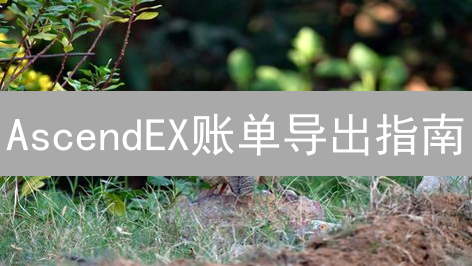 AscendEX账单导出指南：税务申报、投资分析全攻略
