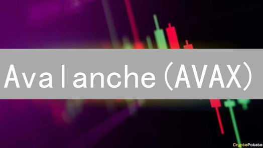 Avalanche(AVAX)：差异化竞争中的公链领跑者分析