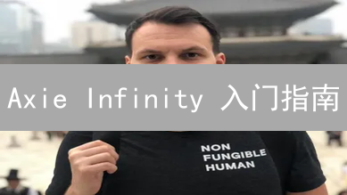 Axie Infinity 入门指南：如何购买 Axie 并开启你的游戏之旅？
