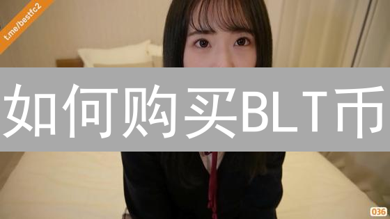如何购买BLT币？新手必看的详细指南！💰