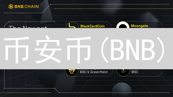 币安币(BNB)：用途、价值与生态系统深度分析