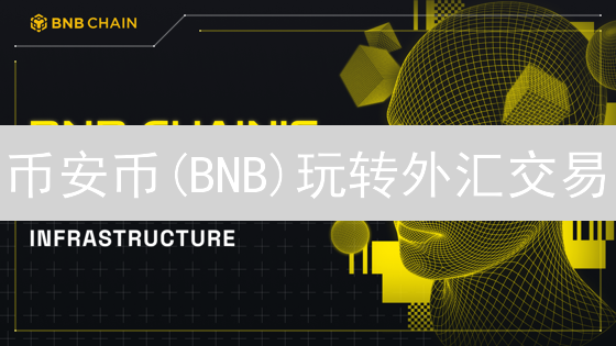 币安币(BNB)玩转外汇交易？新手指南：操作、平台、风险全解析！