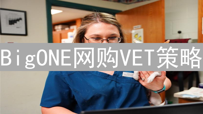 BigONE网购VET策略：基本面、平台选择与技术分析