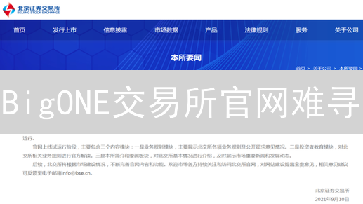 BigONE交易所官网难寻？新手必看安全访问指南！