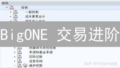 BigONE 交易进阶：订单类型深度剖析与盈利策略！