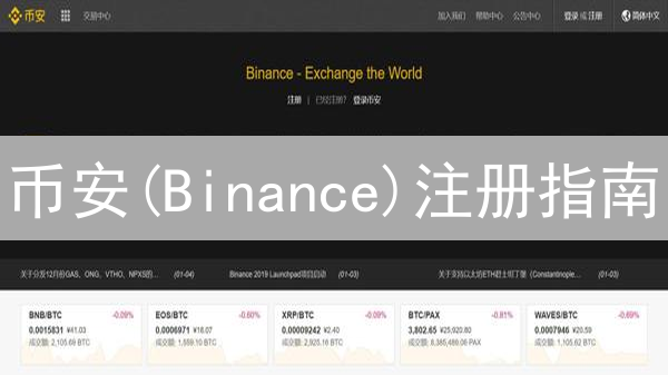 币安(Binance)注册指南：新手必看，快速开户技巧！