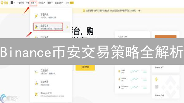 Binance币安交易策略全解析：新手到专家之路 | 2024最新