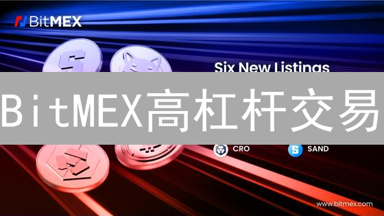 BitMEX高杠杆交易：8招助你稳健盈利！风险控制指南