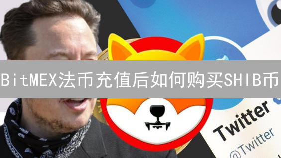 BitMEX法币充值后如何购买SHIB币：详细指南与交易所选择