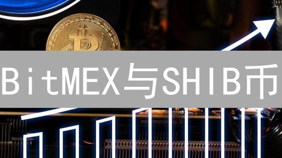 BitMEX与SHIB币：高杠杆交易的机遇与风险分析