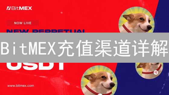 BitMEX充值渠道详解：资金入场策略与风险分析