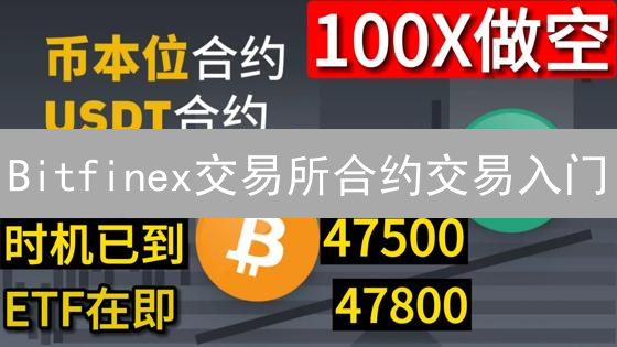 Bitfinex交易所合约交易入门：技术分析与特点详解