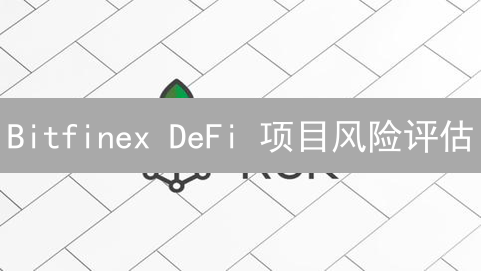 Bitfinex DeFi 项目风险评估：如何保障用户资产安全？