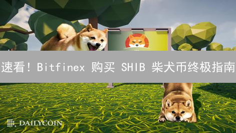 速看！Bitfinex 购买 SHIB 柴犬币终极指南：避坑全攻略！