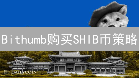 Bithumb购买SHIB币策略：模因币投资的风险与技巧