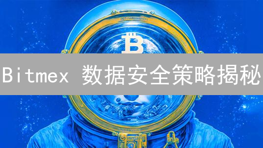 Bitmex 数据安全策略揭秘：新手如何保护加密资产？