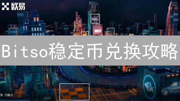 Bitso稳定币兑换攻略：避坑指南与实战技巧！