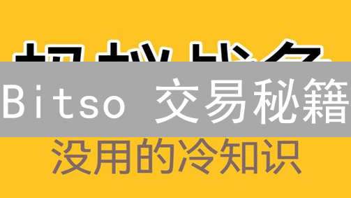 Bitso 交易秘籍：告别韭菜，玩转拉美币圈！