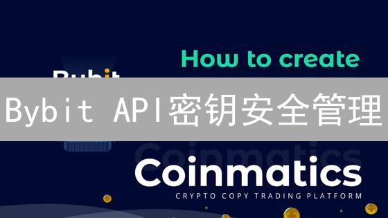 Bybit API密钥安全管理：高效策略与风险应对指南