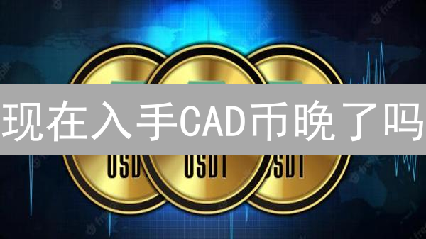 现在入手CAD币晚了吗？2024年最佳购买时机与渠道对比！
