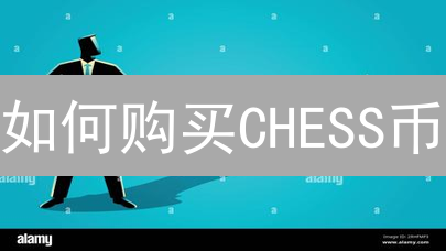 如何购买CHESS币？新手购买指南（2024最新）