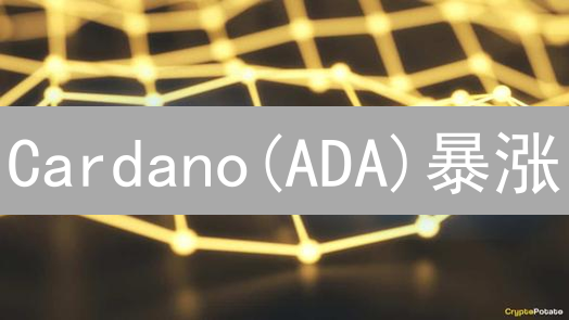 Cardano(ADA)暴涨？专家没告诉你的未来真相！