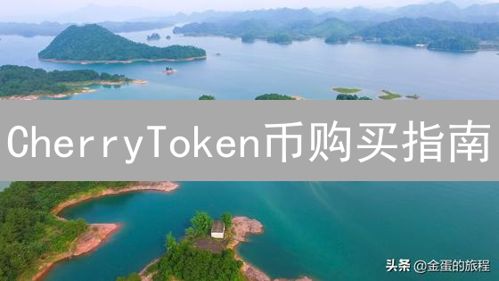 CherryToken币购买指南：何处寻觅及购买策略