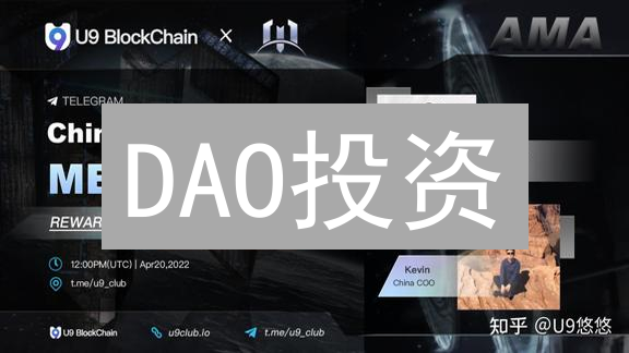 DAO投资：5个你必须知道的风险与回报？（2024最新）