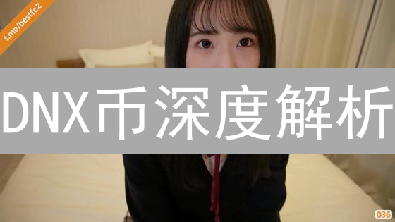 DNX币深度解析：下一个Dogecoin？潜力与风险并存！