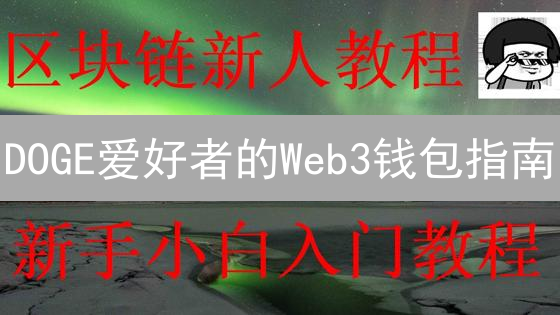 DOGE爱好者的Web3钱包指南：欧易安全存储教程！