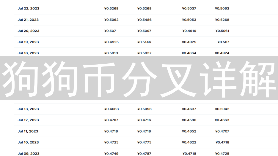 狗狗币分叉详解：盘点DOGE相关项目及风险