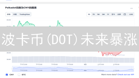 波卡币(DOT)未来暴涨？5大关键因素深度剖析！