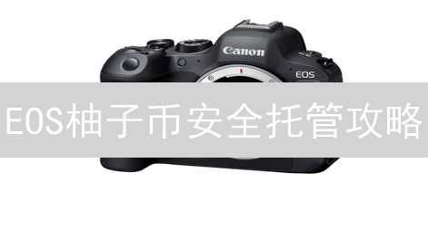 EOS柚子币安全托管攻略：Gemini交易所靠谱吗？新手必看！
