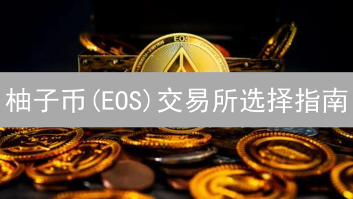 柚子币(EOS)交易所选择指南：安全、流动性及费用终极对比！