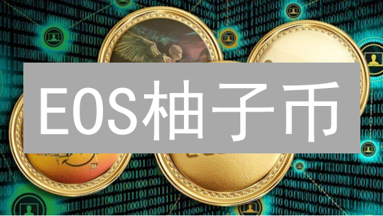 EOS柚子币：它会是下一个颠覆者吗？深度解析！