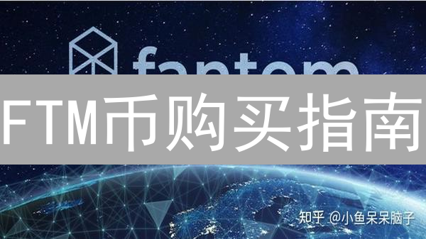 FTM币购买指南：安全、便捷的加密货币投资策略