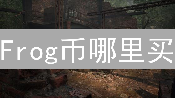 Frog币哪里买？新手避坑指南：抓住暴富机会！