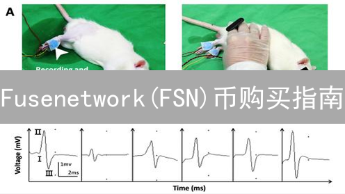 Fusenetwork(FSN)币购买指南：探索去中心化金融的钥匙