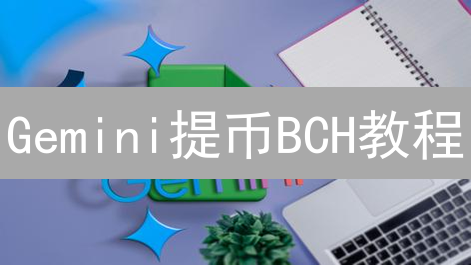 Gemini提币BCH教程：5分钟学会安全提现，避免踩坑！