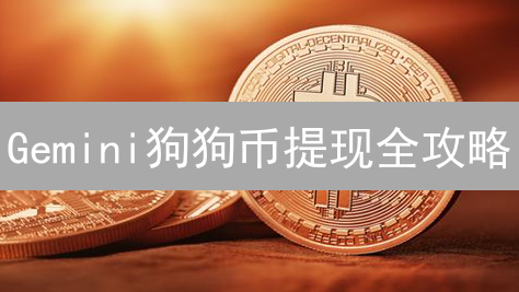 Gemini狗狗币提现全攻略：速提DOGE，避坑指南！