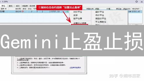 Gemini止盈止损：数字货币交易稳赚不赔？真相在此！