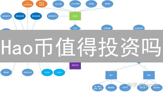 Hao币值得投资吗？2024年技术、应用与前景深度对比分析！
